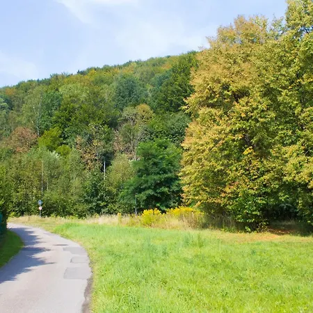 Nad Zylica Przy Deptaku - Dream