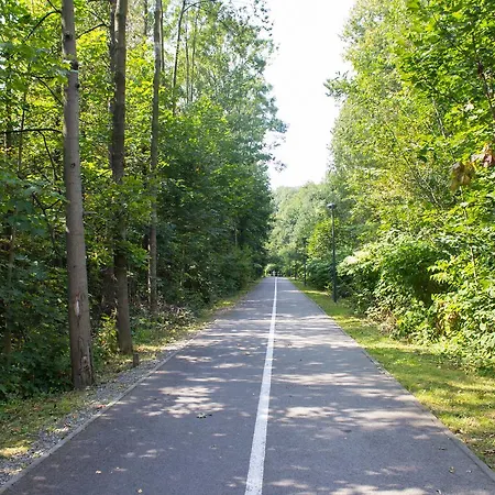 Nad Zylica Przy Deptaku - Dream *