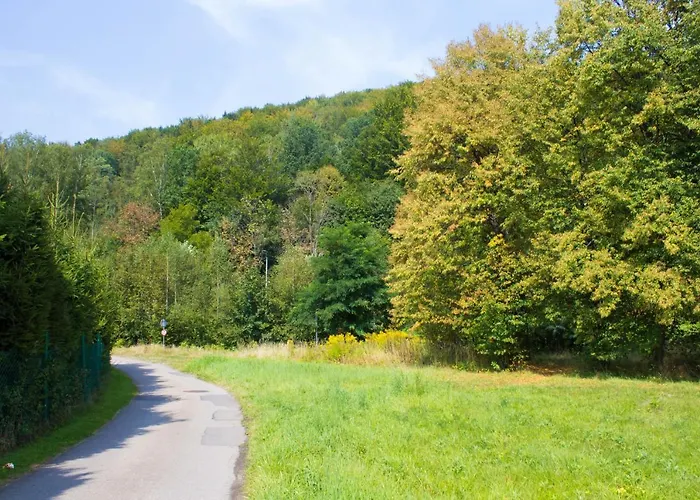 Nad Zylica Przy Deptaku - Dream