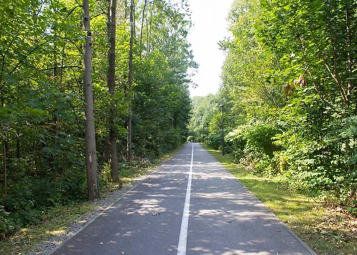 Nad Zylica Przy Deptaku - Dream *